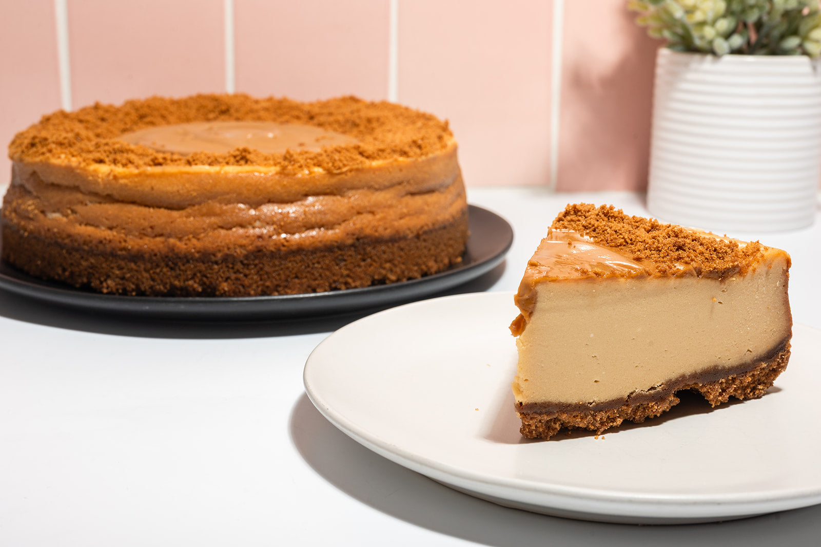 Cookie Butter Cheesecake